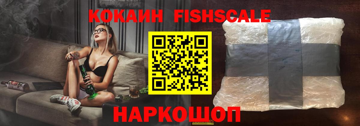 Cocaine FishScale  Вход с VPN  Нижнекамск 