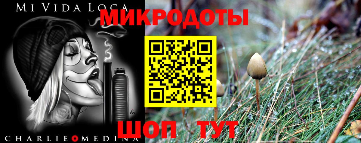 Нижнекамск  Псилоцибиновые грибы прущие грибы  Вход с VPN 